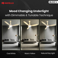 HAVELLS Inox UL BLDC 1200 mm Ceiling Fan-4