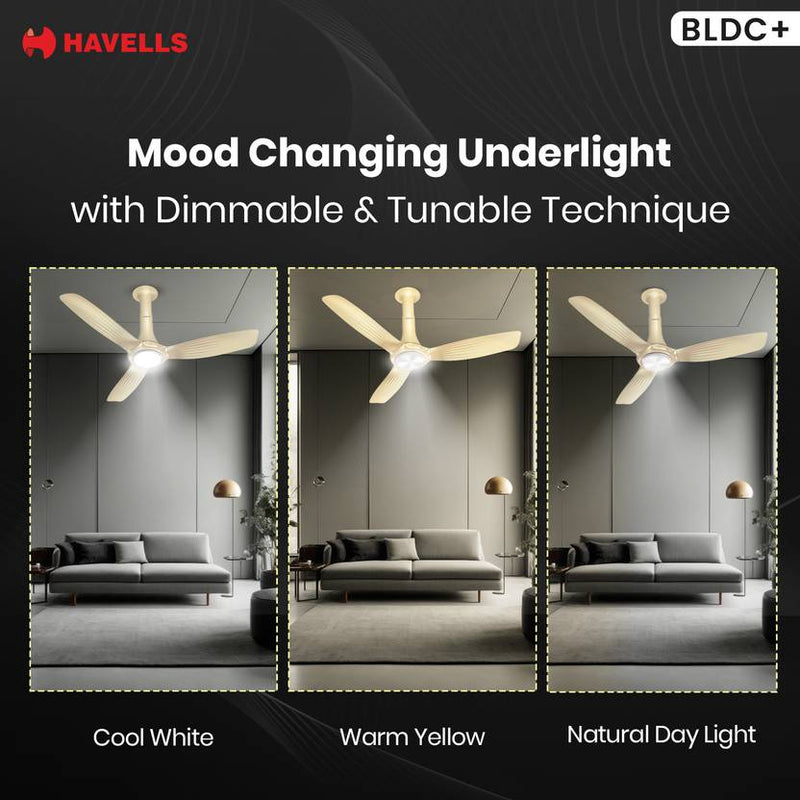 HAVELLS Inox UL BLDC 1200 mm Ceiling Fan-4