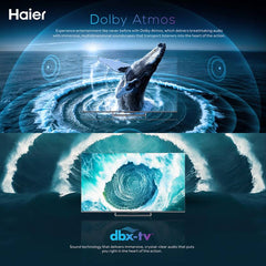 Haier 140 cm (55 inch) QLED Ultra HD (4K) Smart Google TV (H55S90EUX)-4