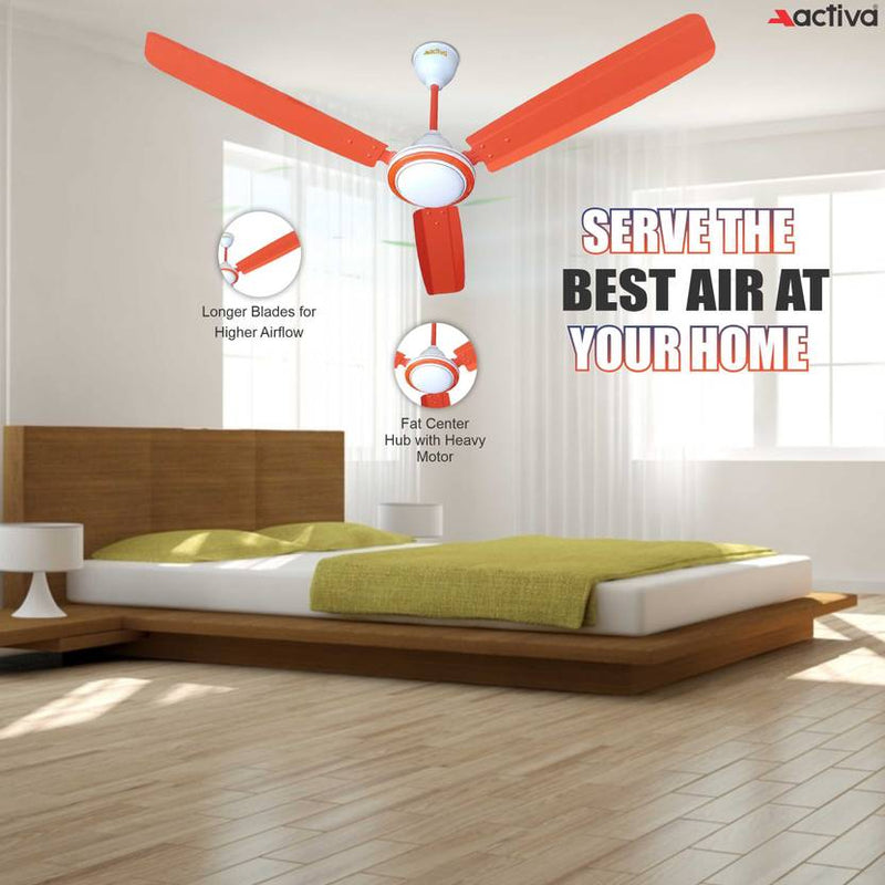 ACTIVA Super Fan Economy-4