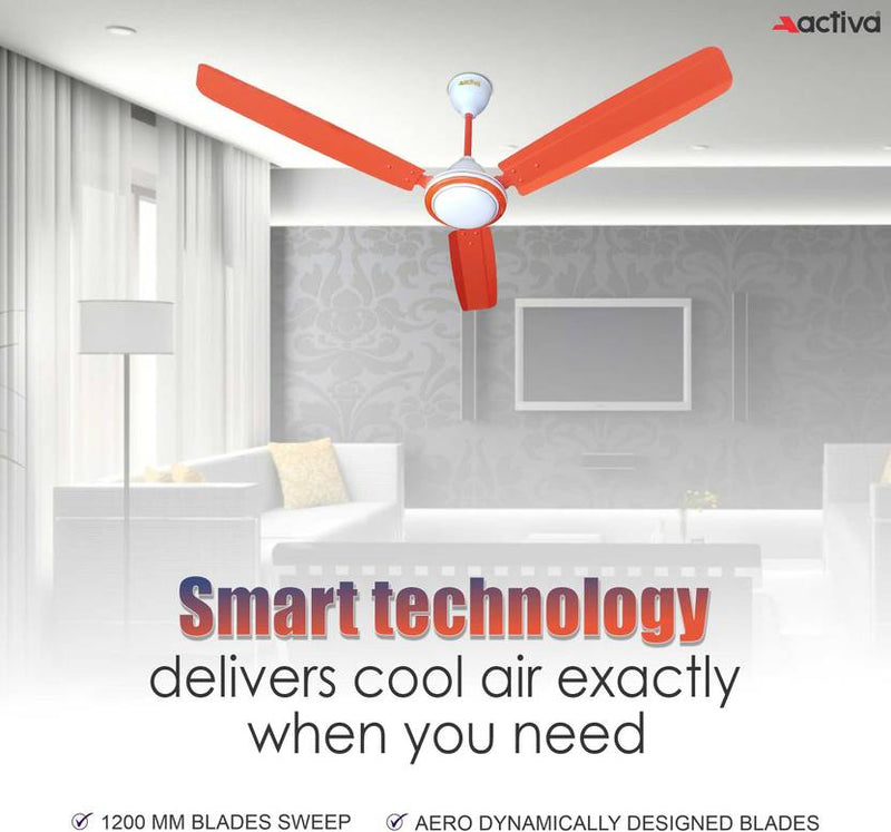 ACTIVA Super Fan Economy-2