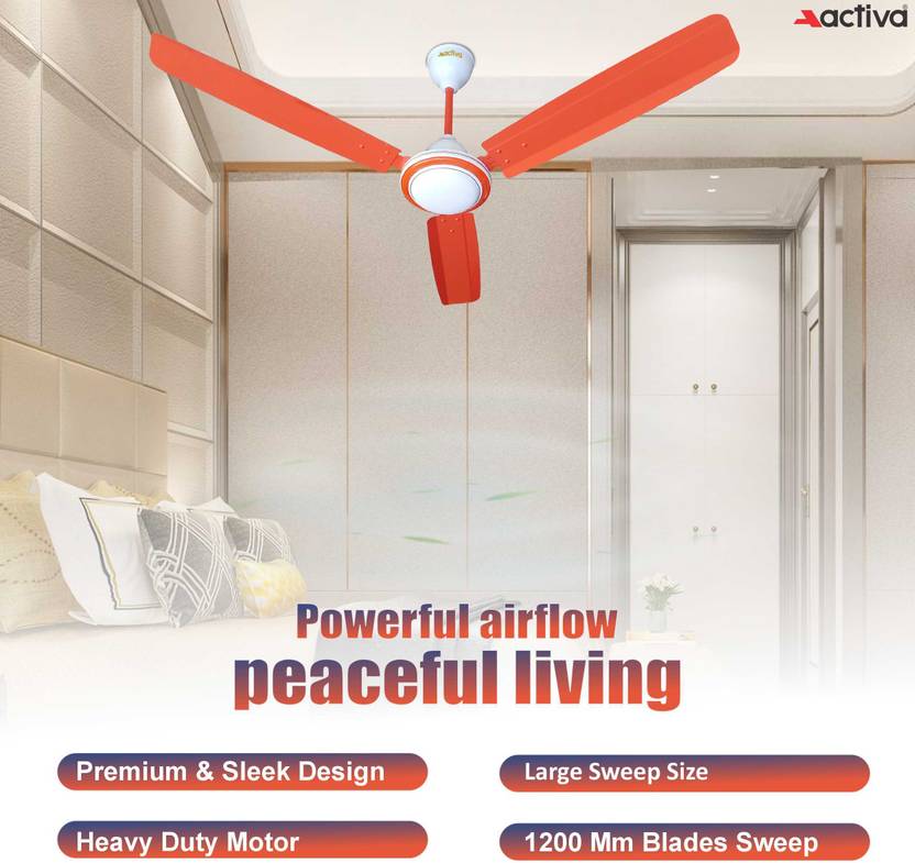 ACTIVA Super Fan Economy-6