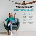 KUHL Brise E3 Stylish Power Saving with 2 Year Warranty BLDC Motor with Remote 1400 mm Ceiling Fan (5 Star | Teakwood | Pack of 1)