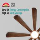 KUHL PLATIN D8 Stylish 65% Power Saving with 1 Year Warranty BLDC Motor with Remote 1500 mm Ceiling Fan (5 Star | Teakwood | Pack of 1)