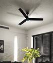 Atomberg Renesa with 3 Year Warranty BLDC Motor with Remote 1200 mm Ceiling Fan (5 Star | Midnight, Black | Pack of 1)