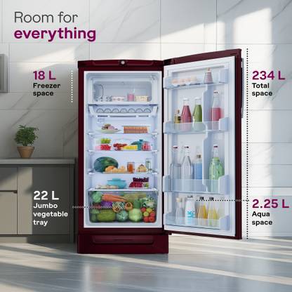 Godrej 234 L Direct Cool Single Door 5 Star Refrigerator with Energy Efficient Inverter Compressor And Jumbo Vegetable Tray