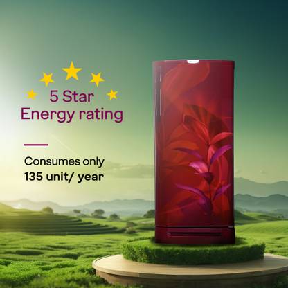 Godrej 234 L Direct Cool Single Door 5 Star Refrigerator with Energy Efficient Inverter Compressor And Jumbo Vegetable Tray