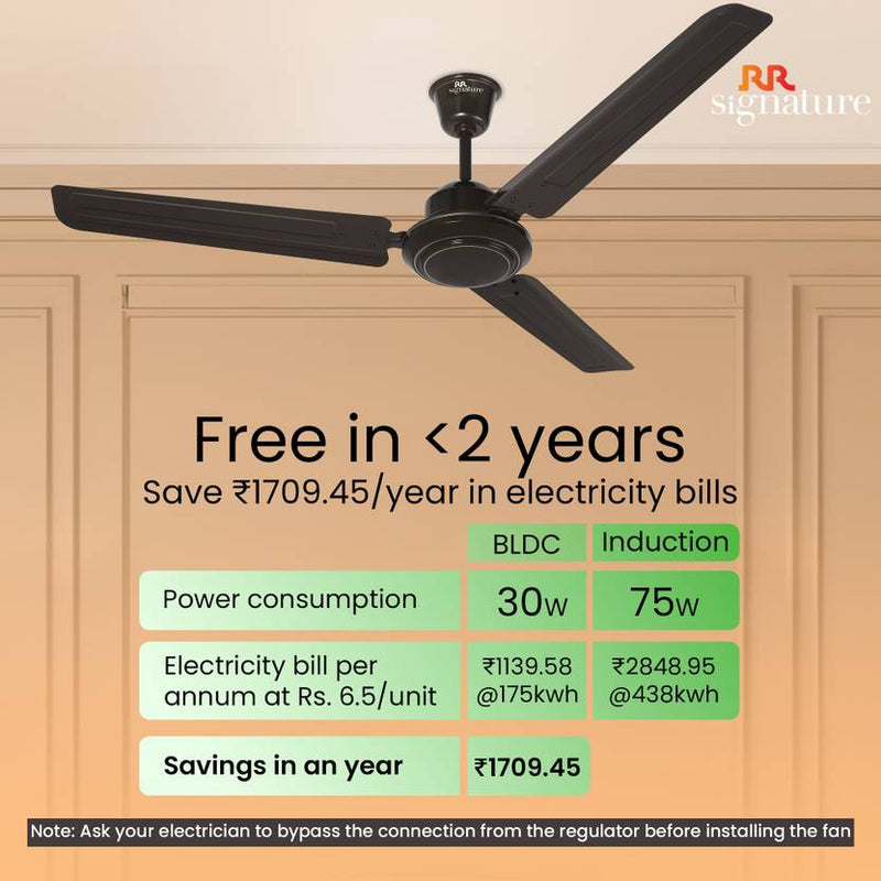 RR Josh BLDC 1200 mm Ceiling Fan-5
