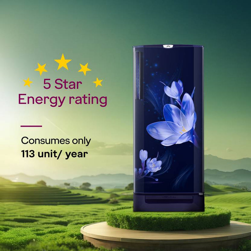 Godrej 185 L Direct Cool Single Door 5 Star Refrigerator with Base Drawer2L Jumbo Vegetable Tray Advanced Inverter Technology-2
