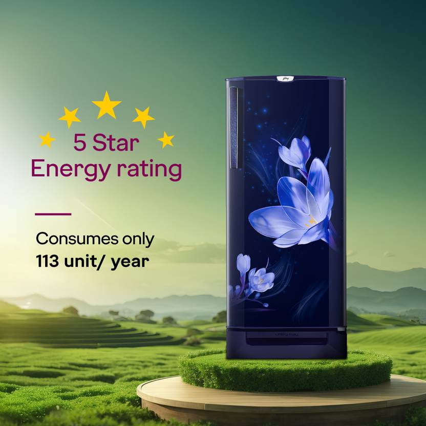 Godrej 185 L Direct Cool Single Door 5 Star Refrigerator with Base Drawer2L Jumbo Vegetable Tray Advanced Inverter Technology-2