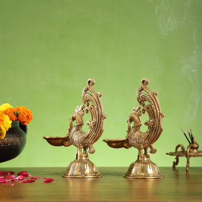 Peacock Brass Oil Lamps | Open Feather Design | Height 8 inches