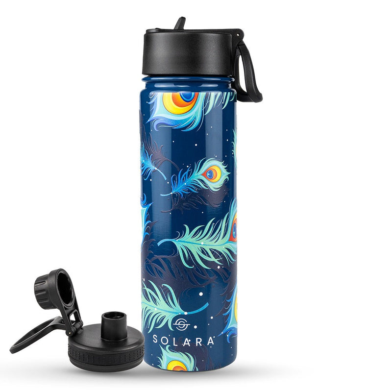 Insulated Water Bottle 650 ML