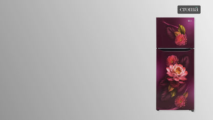 LG 240 Litres 2 Star Frost Free Double Door Convertible Refrigerator with Smart Diagnosis (GL-S292SRWY, Red Water Lily)