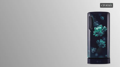 LG 185 Litres 3 Star Direct Cool Single Door Refrigerator with Antibacterial Gasket (GL-D201ABCD.BBCZEB, Blue Charm)