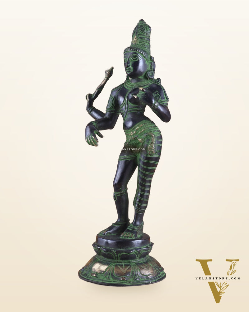 Pure Brass Ardhanarishwara Vintage black green - 12.5 Inch