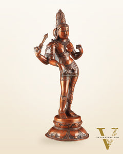 Pure Brass Ardhanarishwara Vintage dark red - 12.5 Inch