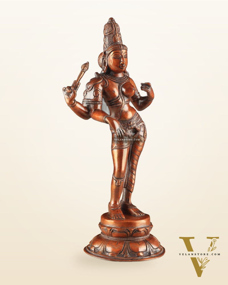 Pure Brass Ardhanarishwara Vintage dark red - 12.5 Inch