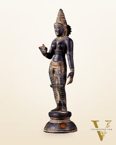 Pure Brass Bhoga Shakti Standing Uma Parvati Idol 18 inch antique patina