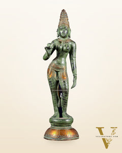 Pure Brass Bhoga Shakti Standing Uma Parvati Idol 18 inch green patina
