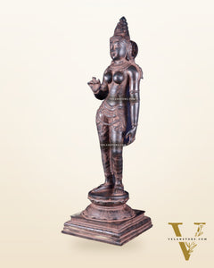 Pure Brass Bhoga Shakti Uma Parvati Standing Sculpture – 27" Height, Chola Style