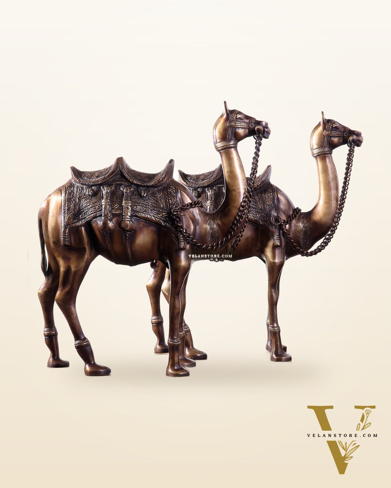 Pure Brass Camel pair Statues | Vastu Showpiece for Home & Office | 17"
