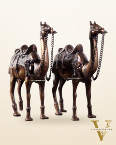 Pure Brass Camel pair Statues | Vastu Showpiece for Home & Office | 17"