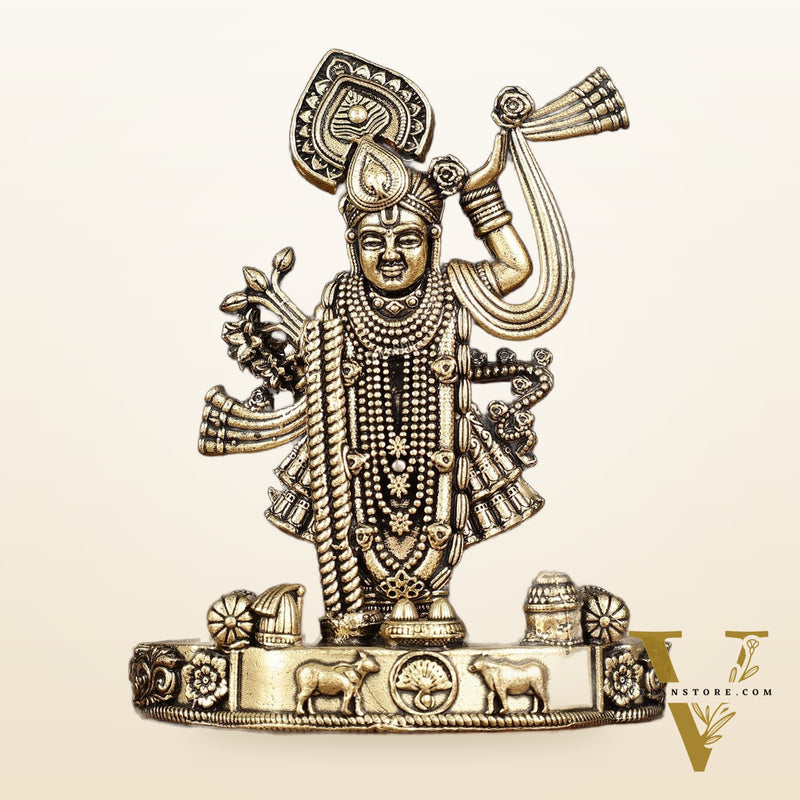 Pure Brass Intricately Carved Shreenath Ji Idol 4"