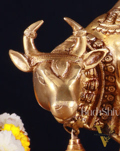 Pure Brass Kamdhenu Cow with Calf Idol – 8 x 4 x 7 Inches, 3.2 Kg