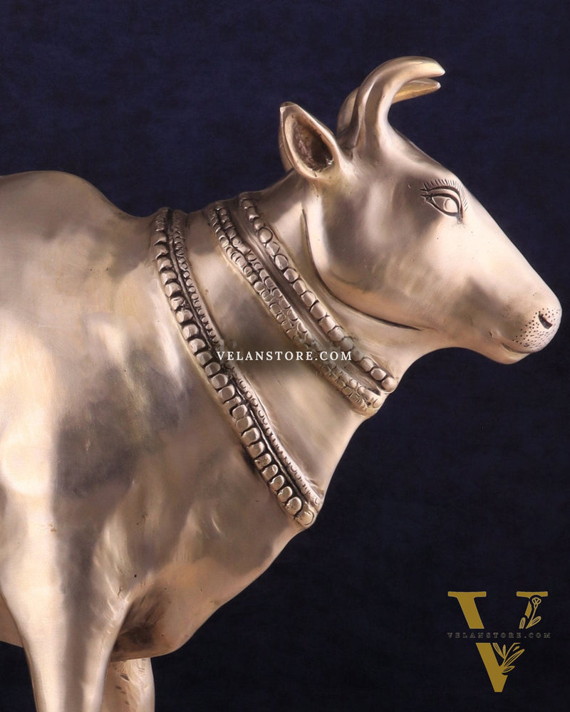 Pure Brass Large Cow Statue – Gomatha Idol | Elegant Spiritual Décor