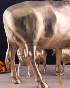 Pure Brass Large Gomatha (Cow) Statue Protecting Her Calves – Symbol of Nurturing Divinity