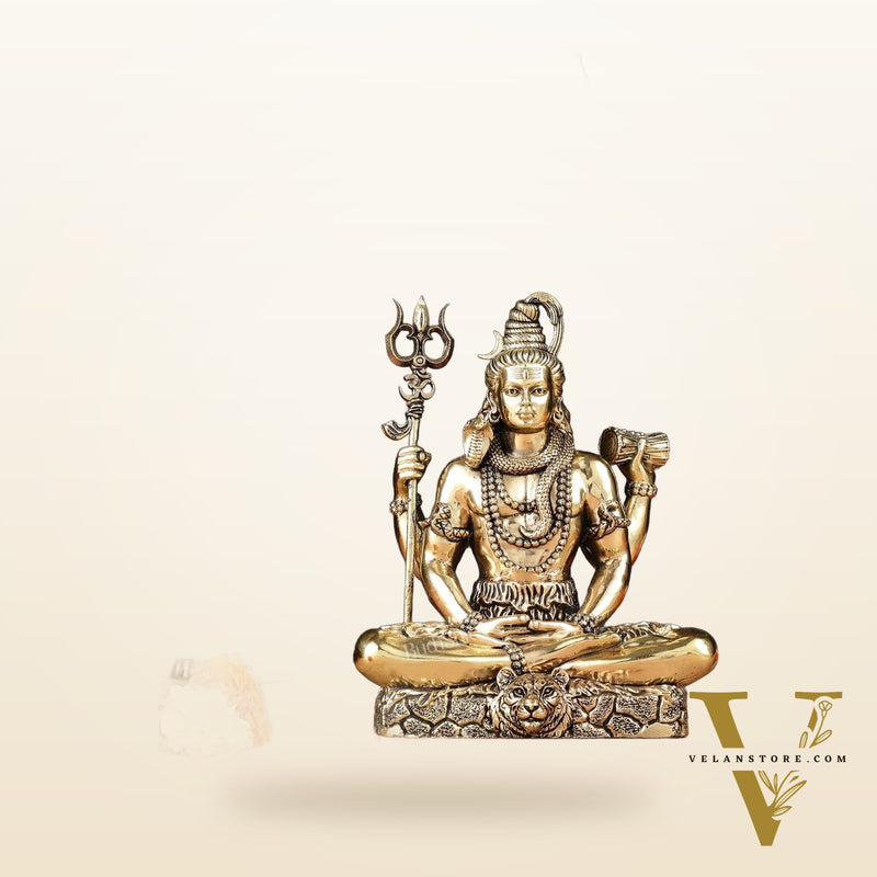 Pure Brass Lord Shiva Idol