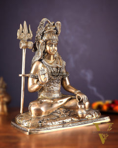 Pure Brass Lord Shiva Smiling Idol with Open Eyes 15"