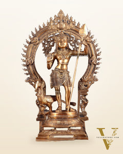 Pure Brass Murugan swamy Kartikeya Idol 16.5 inch