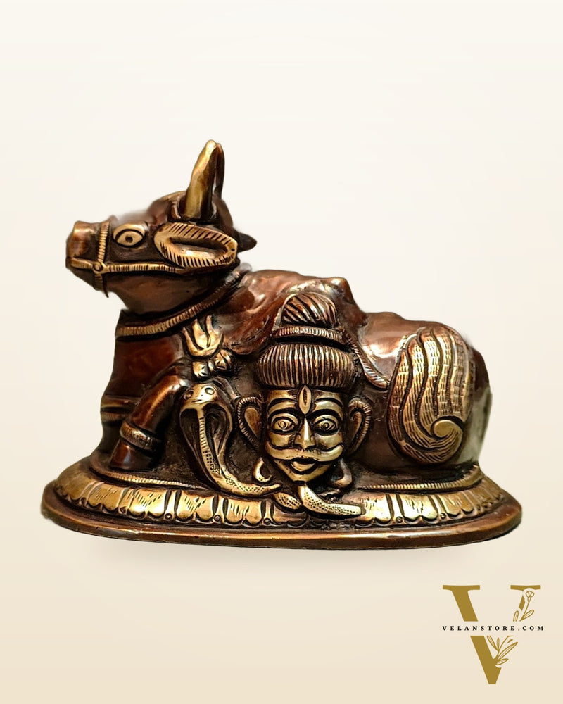 Pure Brass Nandi Idol with Shiv Gauri engraved 6"