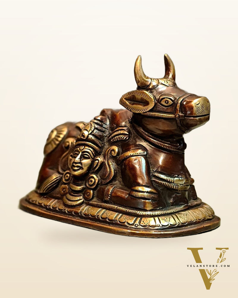 Pure Brass Nandi Idol with Shiv Gauri engraved 6"