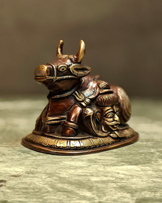 Pure Brass Nandi Idol with Shiv Gauri engraved 6"