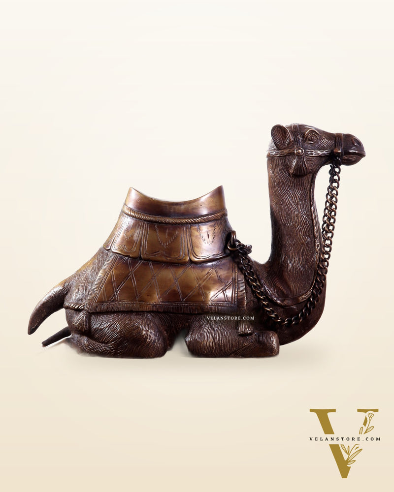 Pure Brass Seated Camel Statue – Vastu Approved Décor for Home or Office