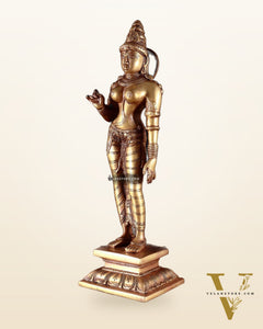 Pure Brass Standing Goddess Uma Parvati Sivagami Sculpture – 13”