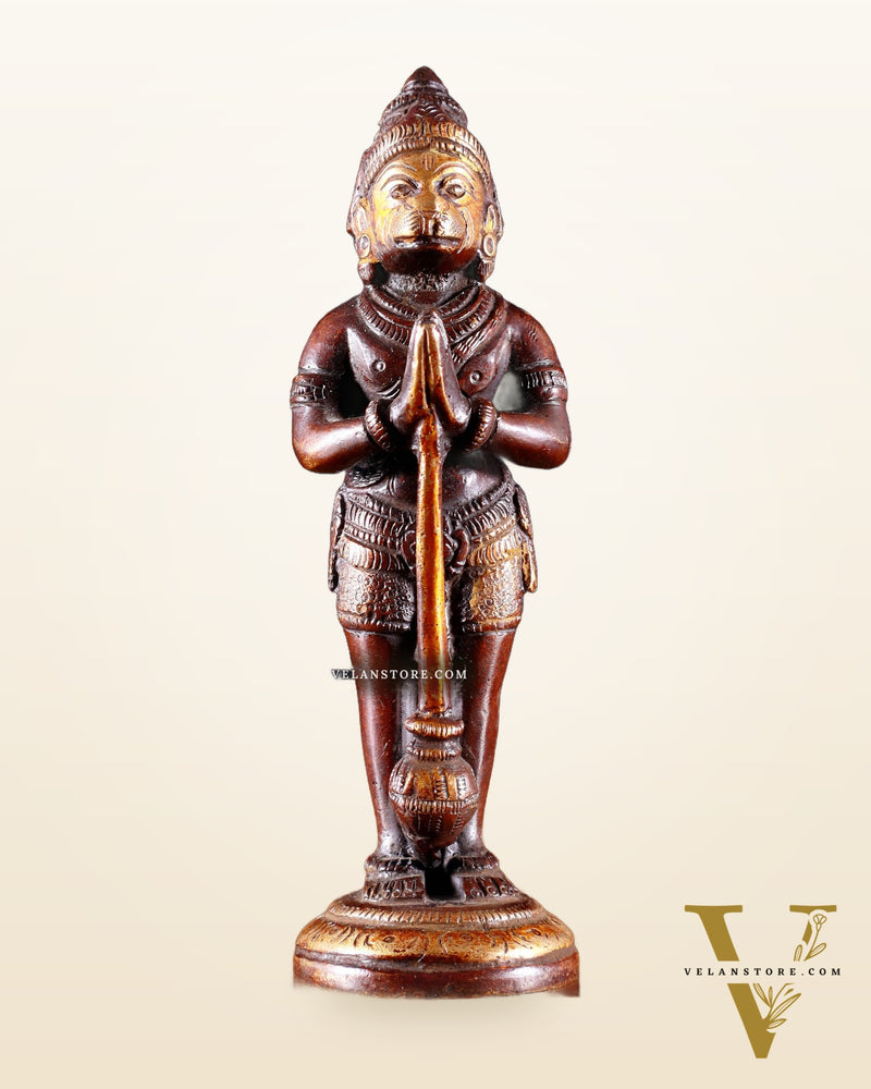 Pure Brass Standing Hanuman Ji in Namaskar 5Mudra – Dual Tone 5.2"
