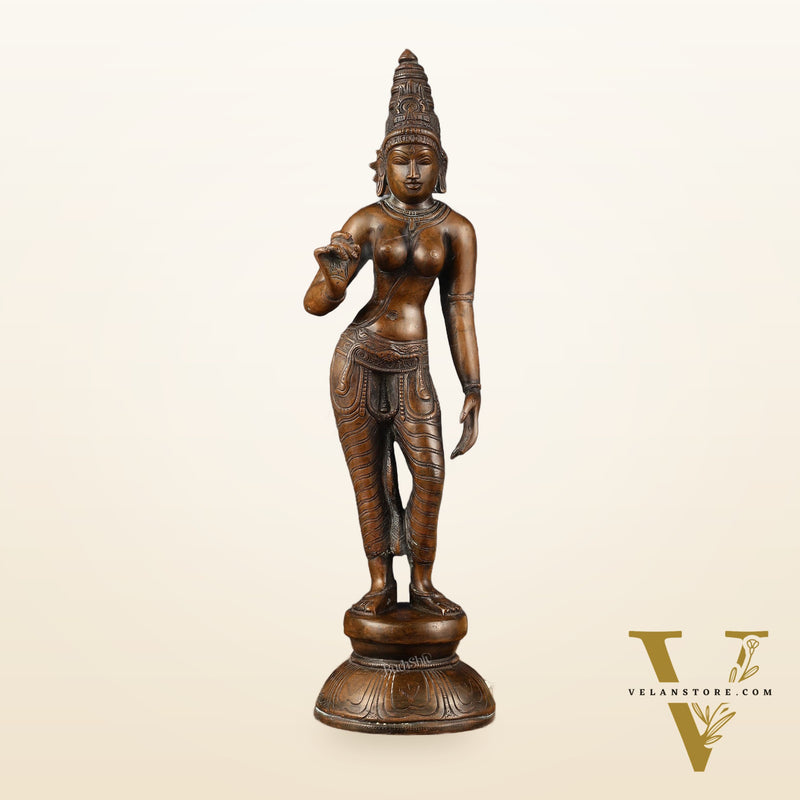 Pure Brass Standing Uma Parvati Idol with Chola Finish 18 inch
