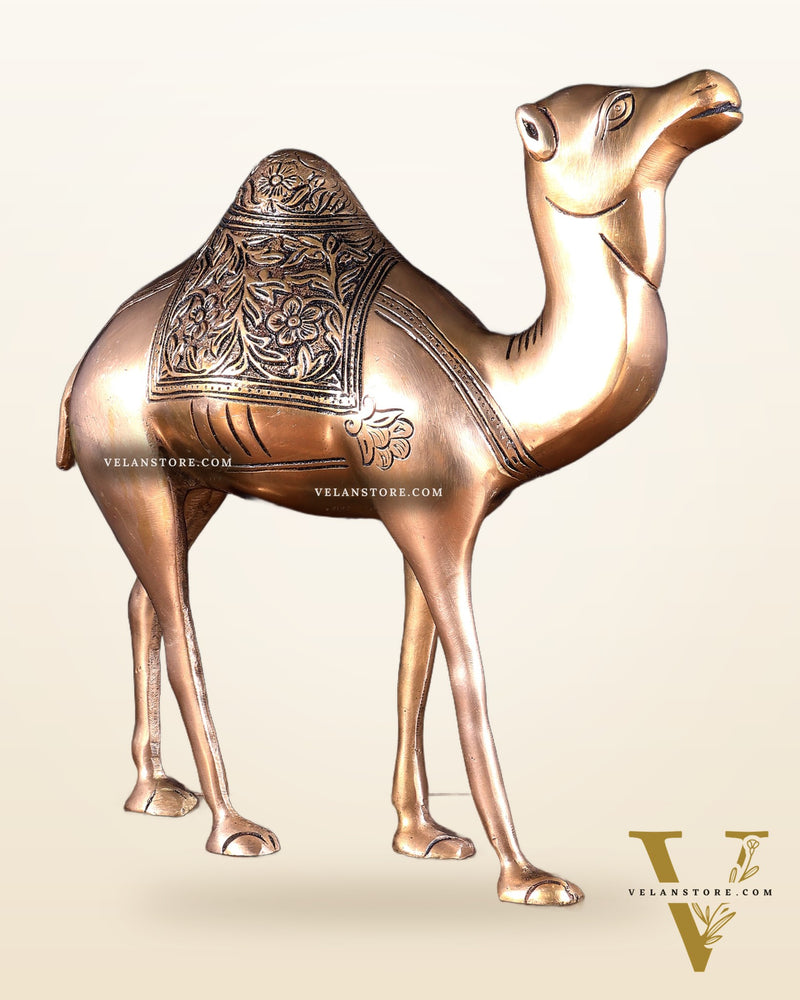 Pure Brass Superfine Standing Camel – The Ship of the Desert | Vastu Approved Showpiece 10.5 inch