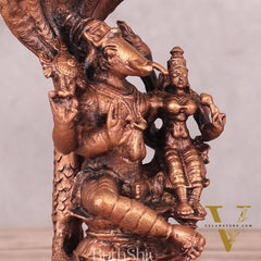 Pure Copper Varaha Lakshmi Idol Seated on Sheshnaag - 5.5 Inch