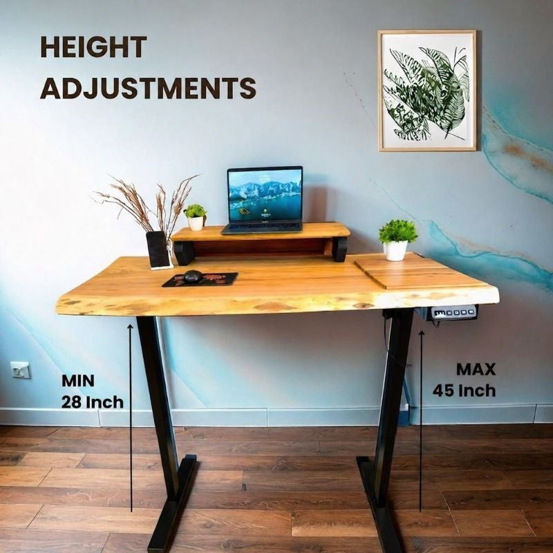 Quantum live edge height adjustable desk with black legs