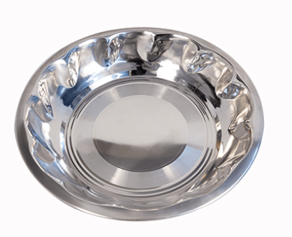 एसएस पारथ गुरुदेव