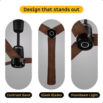 Renesa Elite Smart Ceiling Fan