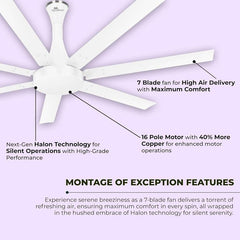 RR Signature Aether Flow High Air Ceiling Fan with 7 Blades, Low Noise, 40% More Motor (Alice, Free Installation)-4