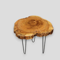 Rustic Live Edge Solid Wood Crosscut Slab | Organic Trunk Tree Coffee Table | Custom Natural Wood Center Table - Home Interior Decor
