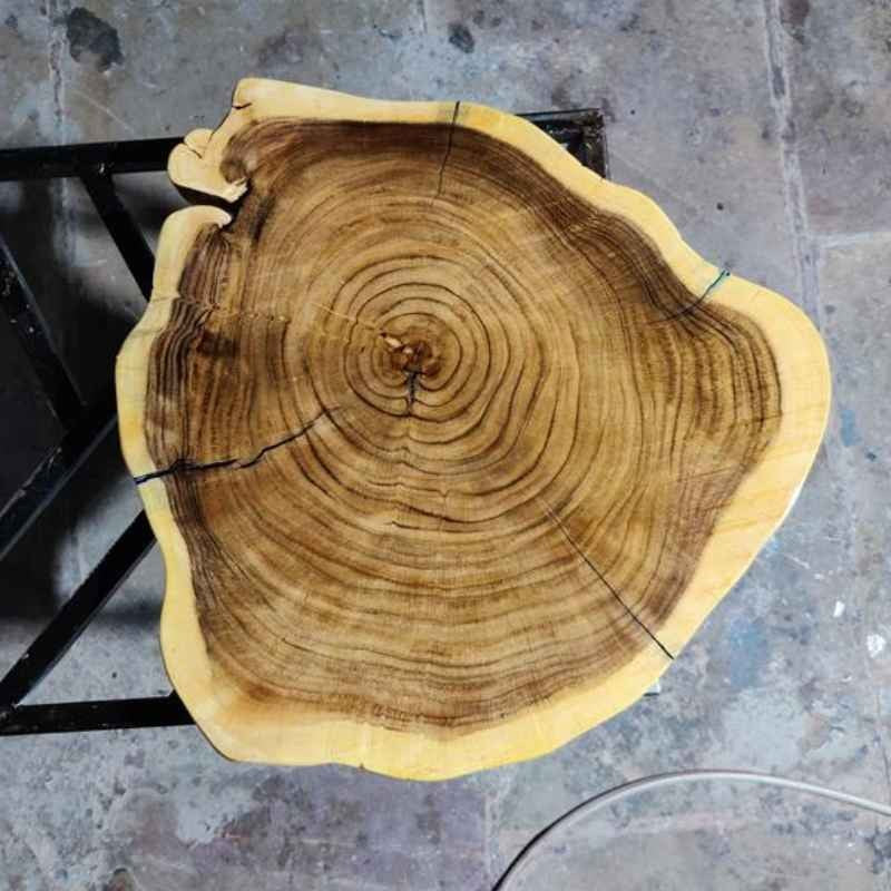Rustic Live Edge Solid Wood Crosscut Slab | Organic Trunk Tree Coffee Table | Custom Natural Wood Center Table - Home Interior Decor