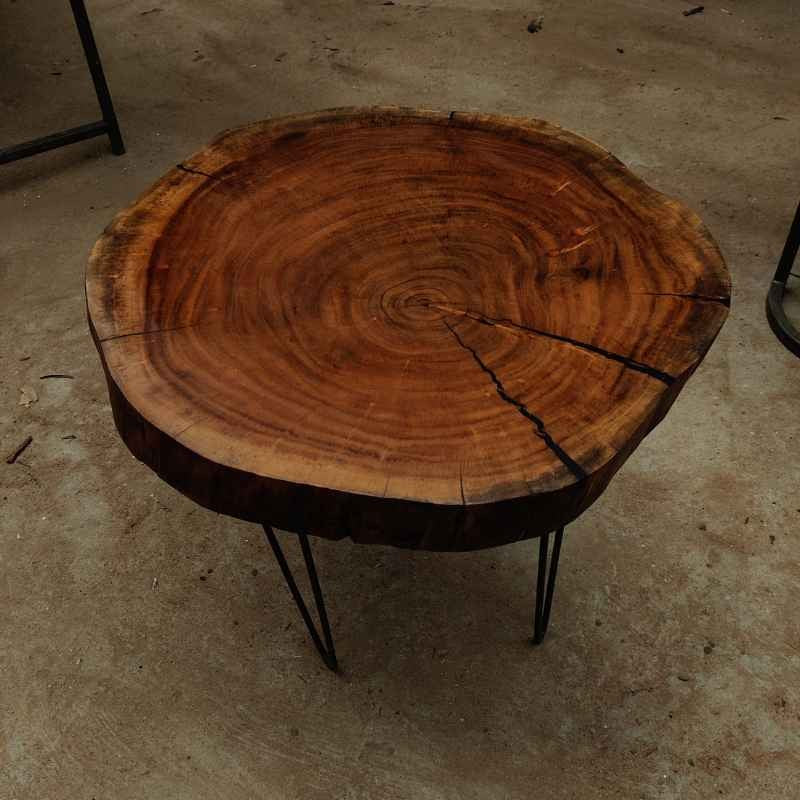 Live Edge Solid Wood Trunk Tree Slab with Minimal Epoxy | Organic Wood Coffee Table | Minimal Resin Center Table Top