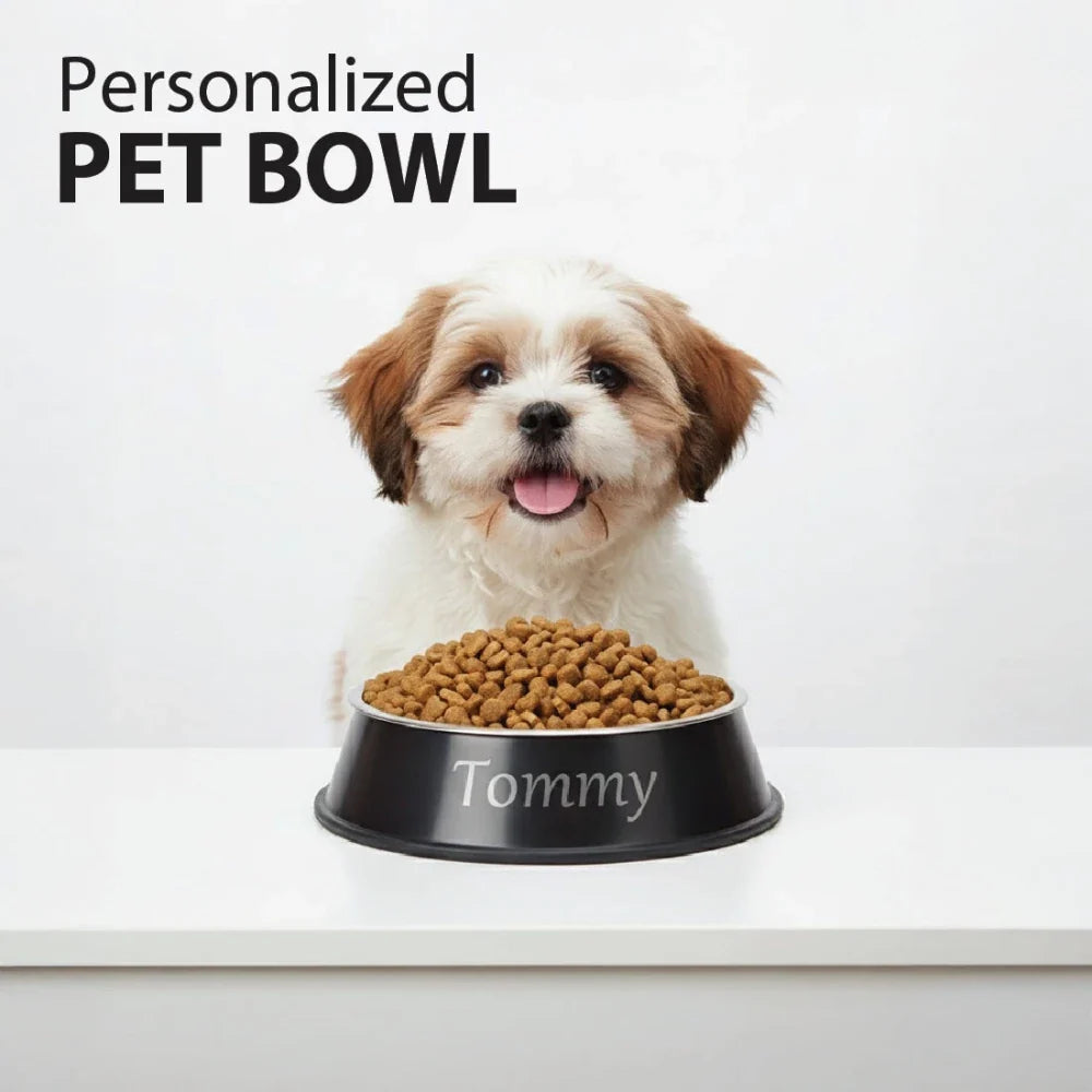 Stainless Steel Anti-Skid Dog Feeding Bowl